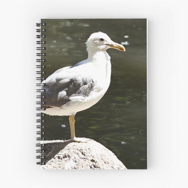Item preview, California Seagull on top of Rock designed and sold by WilesNailsPower.