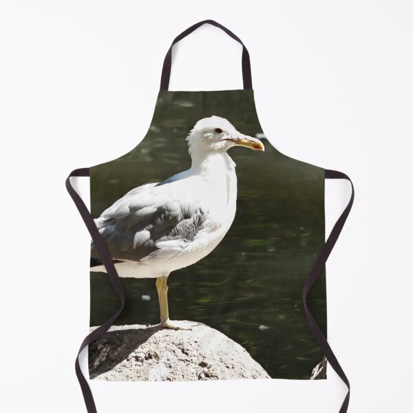 Item preview, California Seagull on top of Rock designed and sold by WilesNailsPower.