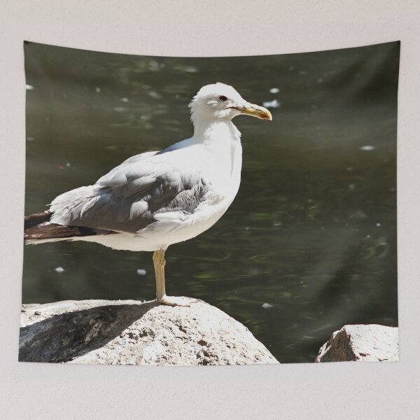 Item preview, California Seagull on top of Rock designed and sold by WilesNailsPower.