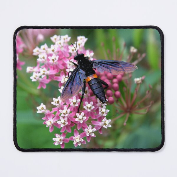 Item preview, Something with Wings designed and sold by SummerJade.