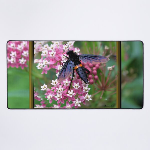 Item preview, Something with Wings designed and sold by SummerJade.