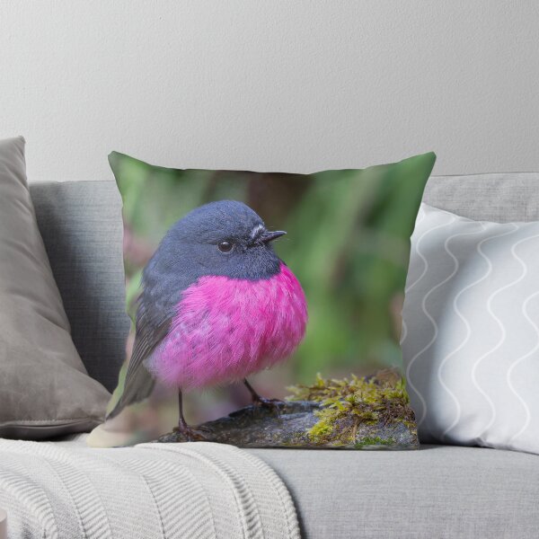 Item preview, Pink Robin designed and sold by Nick Vertsonis.