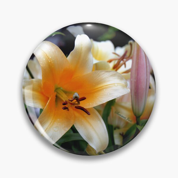 Item preview, Tequila Sunrise Lily with Raindrops designed and sold by SummerJade.
