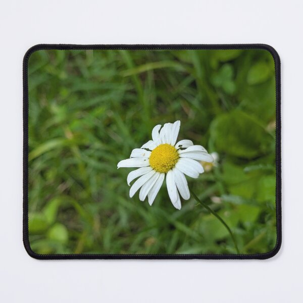 Item preview, Chamomile designed and sold by MacroFlower.