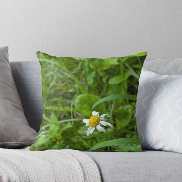 Item preview, Chamomile in Wilt designed and sold by MacroFlower.