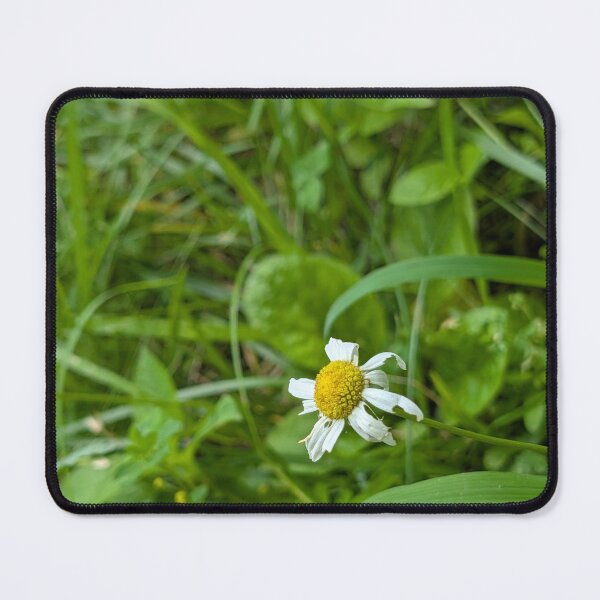 Item preview, Chamomile in Wilt designed and sold by MacroFlower.