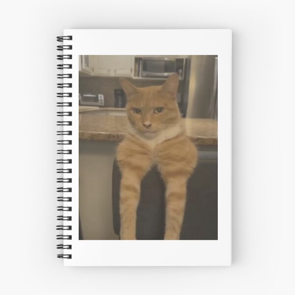Item preview, Mogging Cat with big biceps designed and sold by RoxStuffShop.