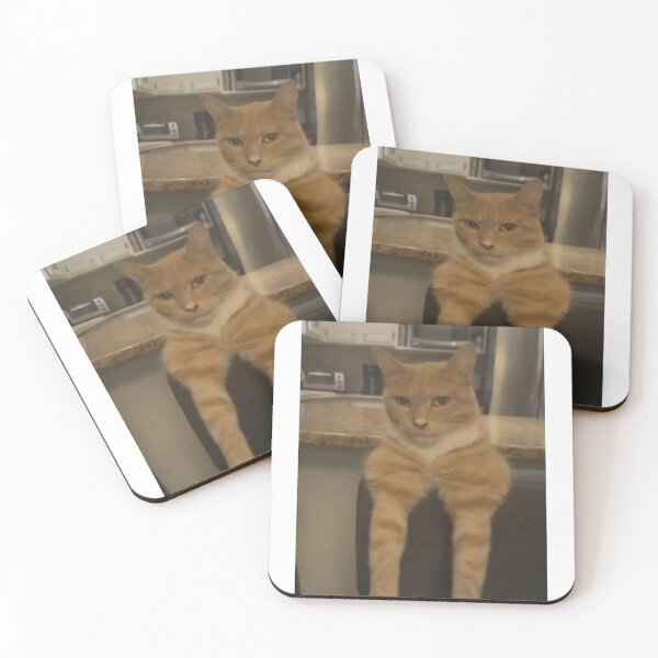 Item preview, Mogging Cat with big biceps designed and sold by RoxStuffShop.