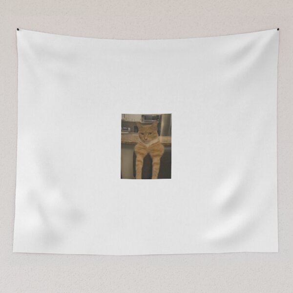 Item preview, Mogging Cat with big biceps designed and sold by RoxStuffShop.