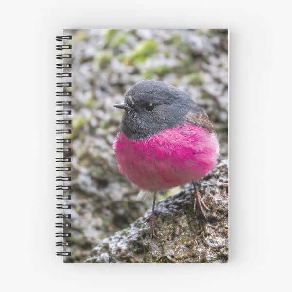 Item preview, Petirrojo rosado designed and sold by Nick Vertsonis.