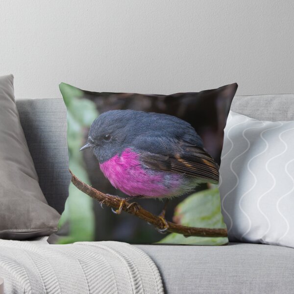 Item preview, Pink Robin designed and sold by Nick Vertsonis.