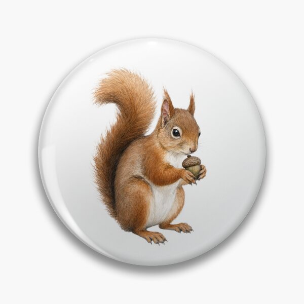Item preview, Red Squirrel with Acorn - Naturalist Illustration designed and sold by Chaoscience.