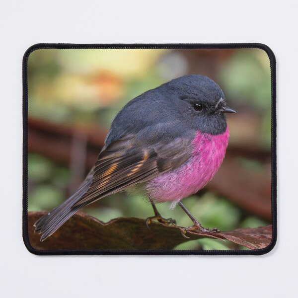 Item preview, Pink Robin designed and sold by Nick Vertsonis.