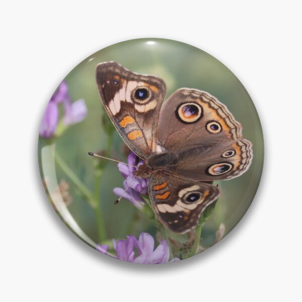 Item preview, Gray Buckeye or Junonia grisea on some flowers designed and sold by WolfRaven Creations.