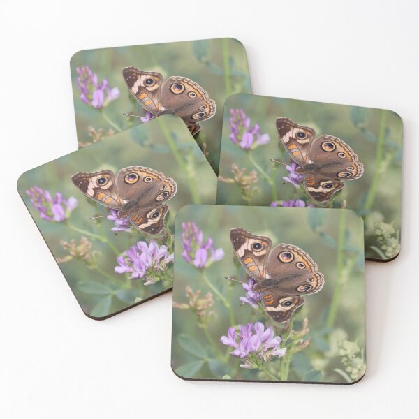 Item preview, Gray Buckeye or Junonia grisea on some flowers designed and sold by WolfRaven Creations.