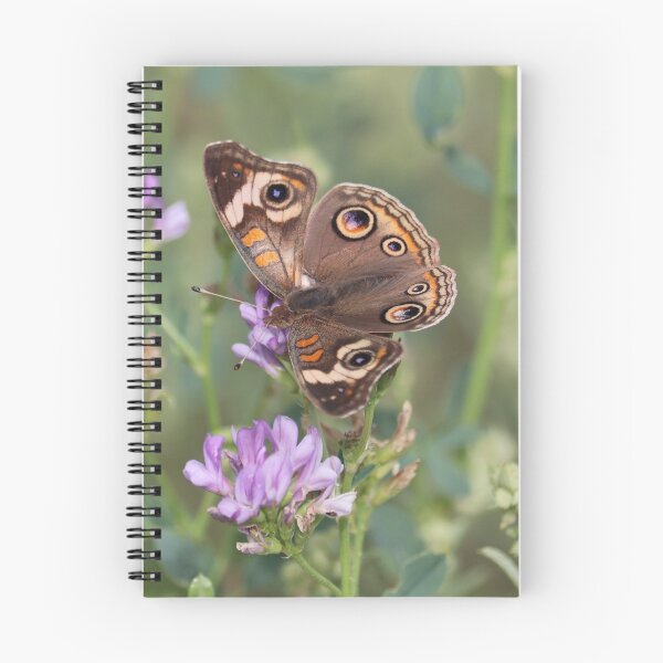 Item preview, Gray Buckeye or Junonia grisea on some flowers designed and sold by WolfRaven Creations.
