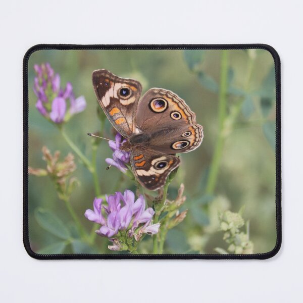 Item preview, Gray Buckeye or Junonia grisea on some flowers designed and sold by WolfRaven Creations.