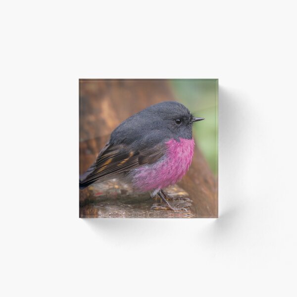 Item preview, Pink Robin designed and sold by Nick Vertsonis.