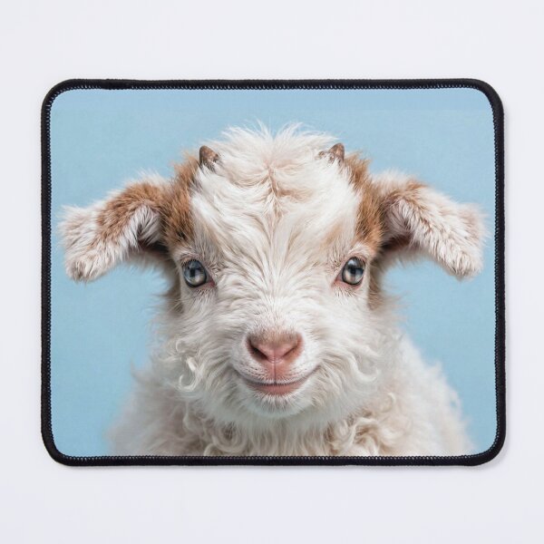 Item preview, Baby Goat designed and sold by Savannah Gibbs.