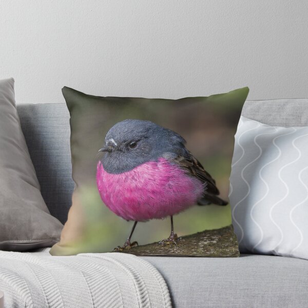 Item preview, Petirrojo rosado designed and sold by Nick Vertsonis.