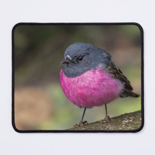 Item preview, Pink Robin designed and sold by Nick Vertsonis.