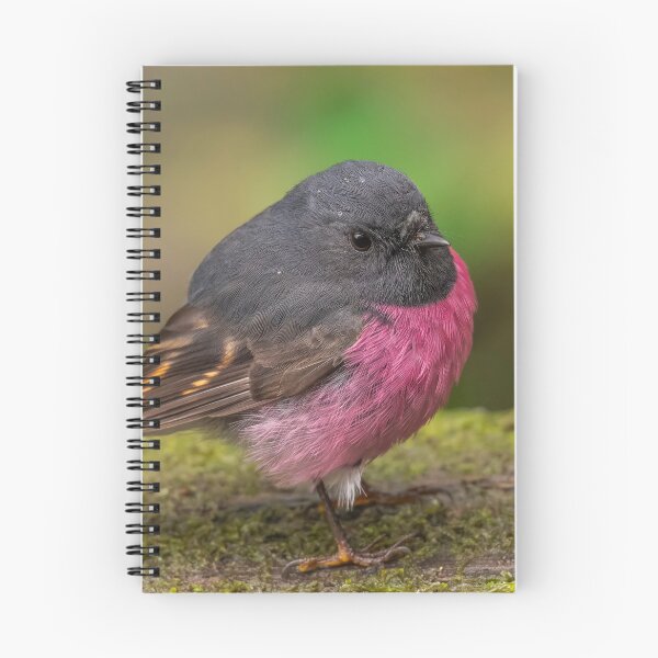 Item preview, Petirrojo rosado designed and sold by Nick Vertsonis.
