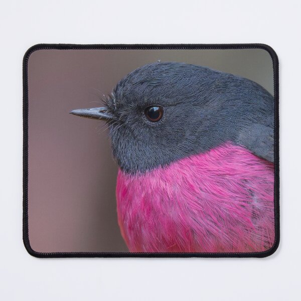 Item preview, Pink Robin designed and sold by Nick Vertsonis.