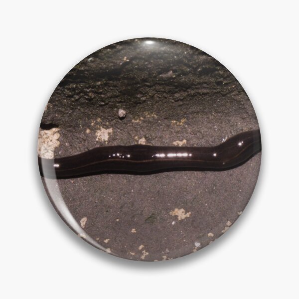 Item preview, New Guinea flatworm designed and sold by ROSE ANN BANILAR.