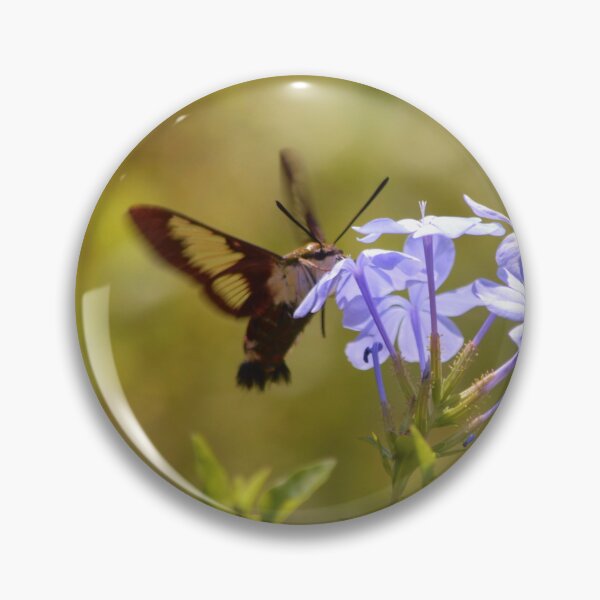 Item preview, Hummingbird Moth on Plumbago designed and sold by richardbryce.