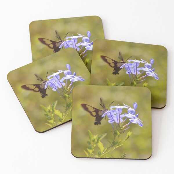Item preview, Hummingbird Moth on Plumbago designed and sold by richardbryce.