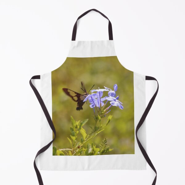 Item preview, Hummingbird Moth on Plumbago designed and sold by richardbryce.