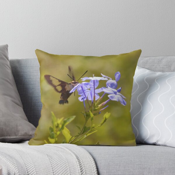 Item preview, Hummingbird Moth on Plumbago designed and sold by richardbryce.