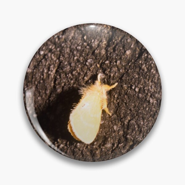 Item preview, tussock moth designed and sold by ROSE ANN BANILAR.