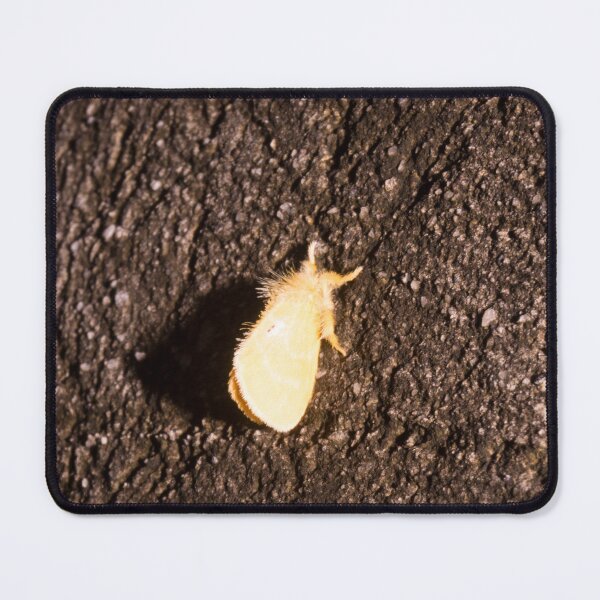 Item preview, tussock moth designed and sold by ROSE ANN BANILAR.