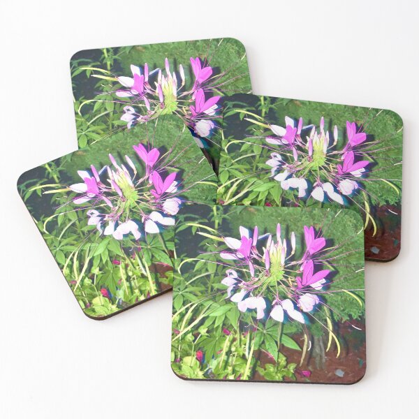 Item preview, Spiny Spiderflower designed and sold by Amanda1775.