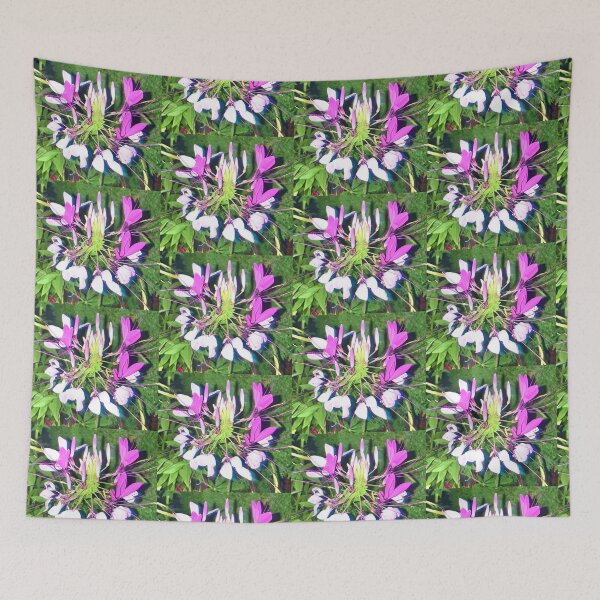 Item preview, Spiny Spiderflower designed and sold by Amanda1775.
