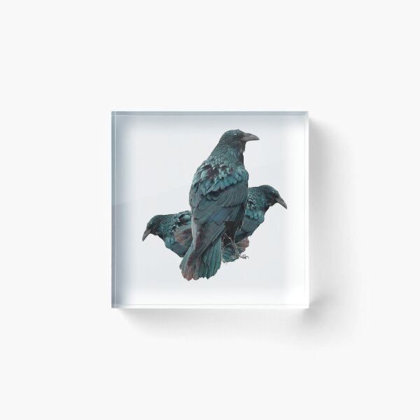Item preview, THREE CROWS  SOCIALIZING  designed and sold by sharlesart.