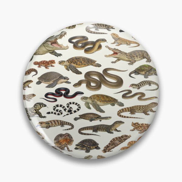 Item preview, Reptiles of Australia Retro Identification Chart designed and sold by kakarikihill.