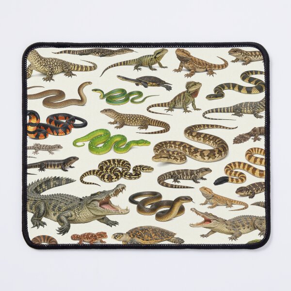 Item preview, Reptiles of Australia Retro Identification Chart designed and sold by kakarikihill.