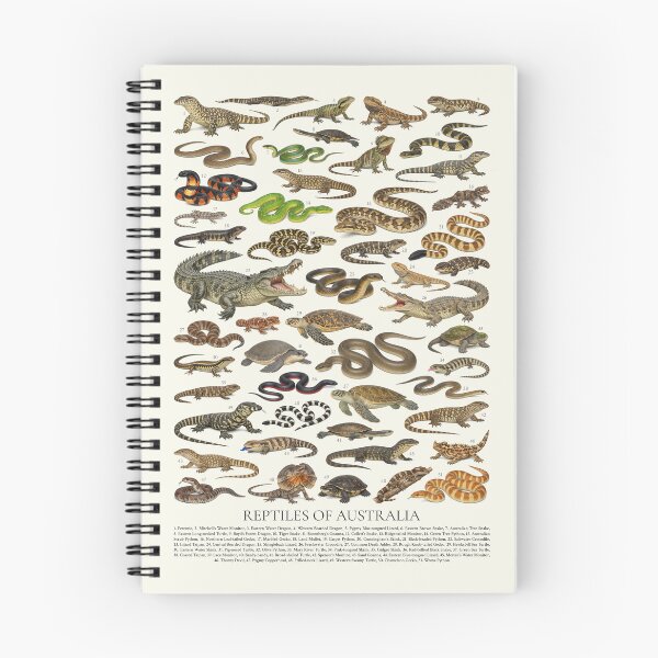 Item preview, Reptiles of Australia Retro Identification Chart designed and sold by kakarikihill.