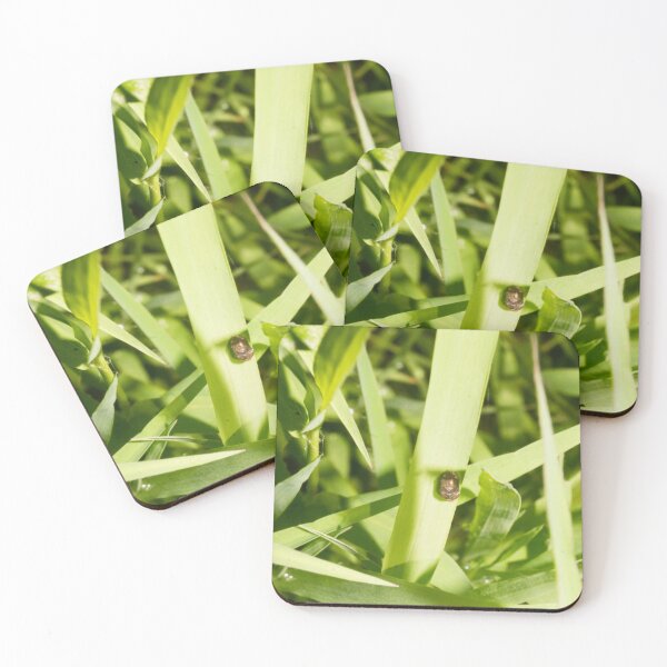 Item preview, kudzu bug designed and sold by ROSE ANN BANILAR.