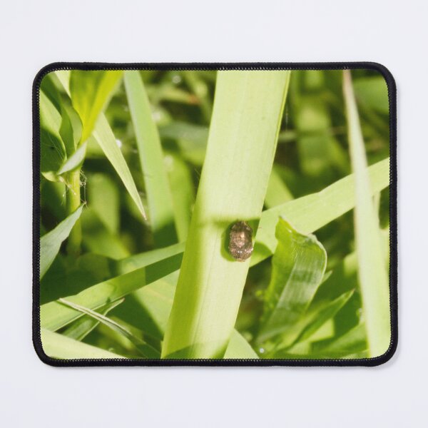 Item preview, kudzu bug designed and sold by ROSE ANN BANILAR.