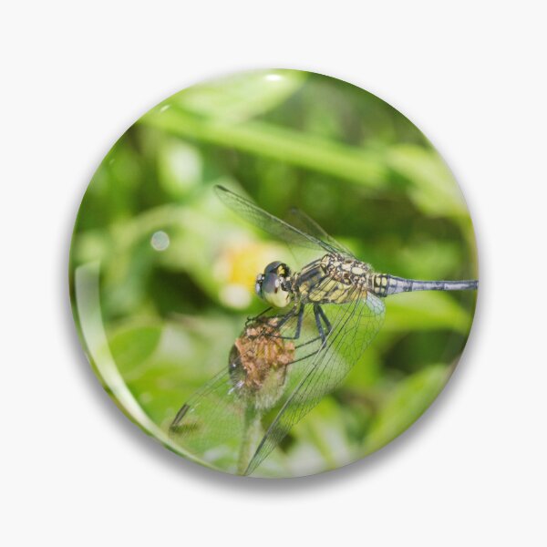Item preview, Ground Skimmer dragonfly designed and sold by ROSE ANN BANILAR.