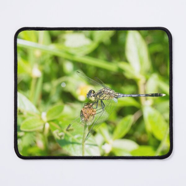 Item preview, Ground Skimmer dragonfly designed and sold by ROSE ANN BANILAR.