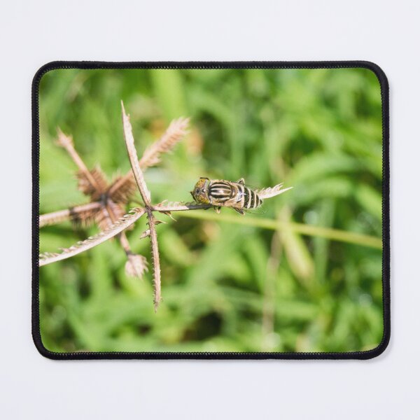 Item preview, hoverfly  designed and sold by ROSE ANN BANILAR.