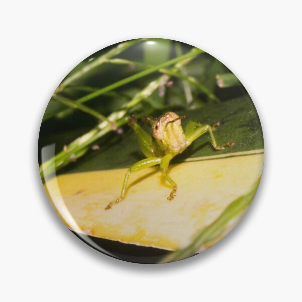 Item preview, Short-winged Green Grasshopper designed and sold by ROSE ANN BANILAR.