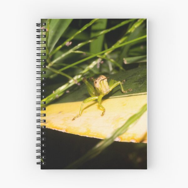 Item preview, Short-winged Green Grasshopper designed and sold by ROSE ANN BANILAR.