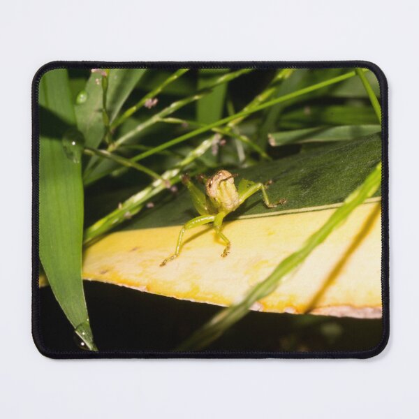 Item preview, Short-winged Green Grasshopper designed and sold by ROSE ANN BANILAR.