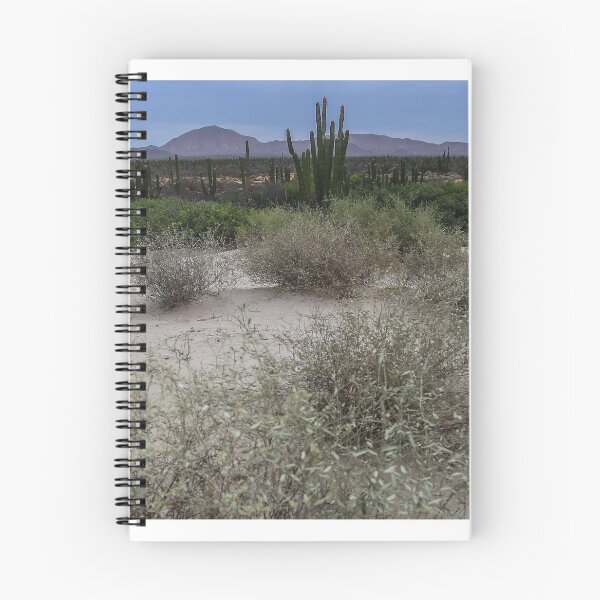 Item preview, Desert of Sonora Mexico designed and sold by photo1979.