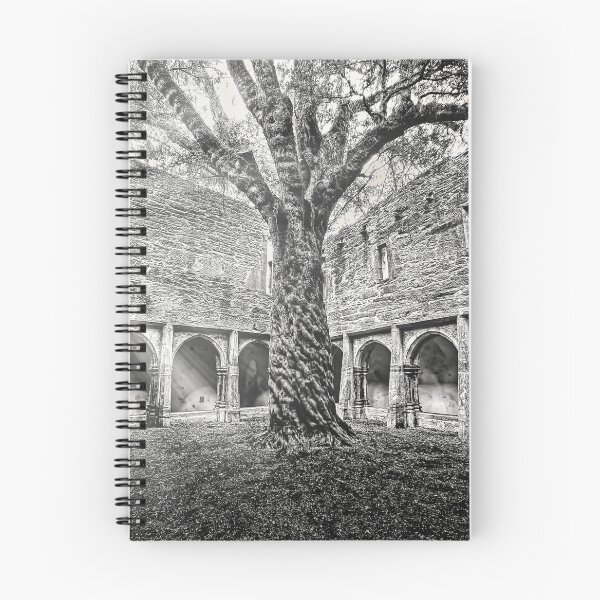 Item preview, Muckross Abbey 4 designed and sold by Alex Preiss.
